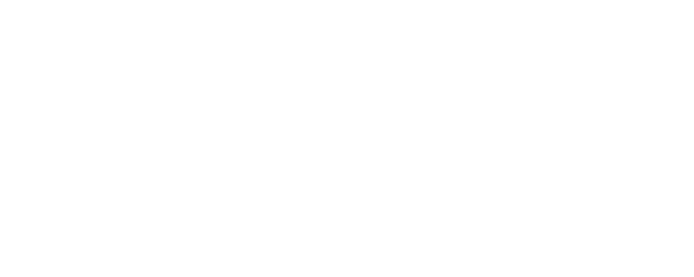 Moshi Koshi Noodle Boss